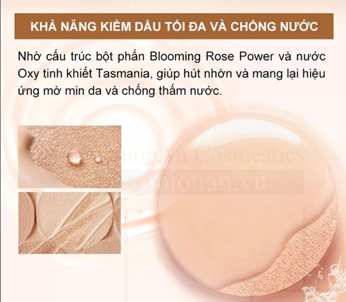Phấn Nước The Face Shop Oil Control Water Cushion EX SPF50+ PA+++